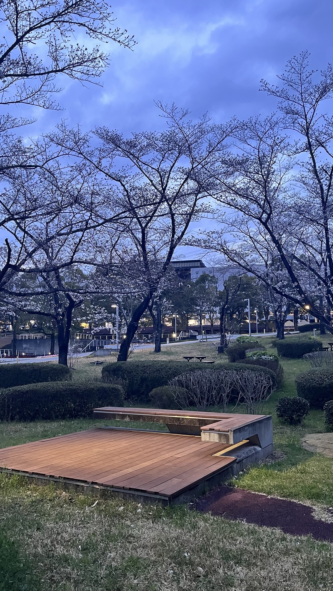 新歓はじまります！